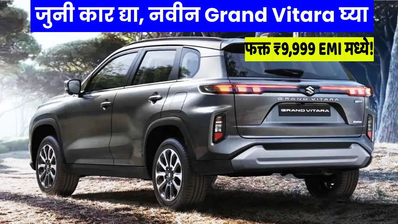 Maruti Grand Vitara Offer